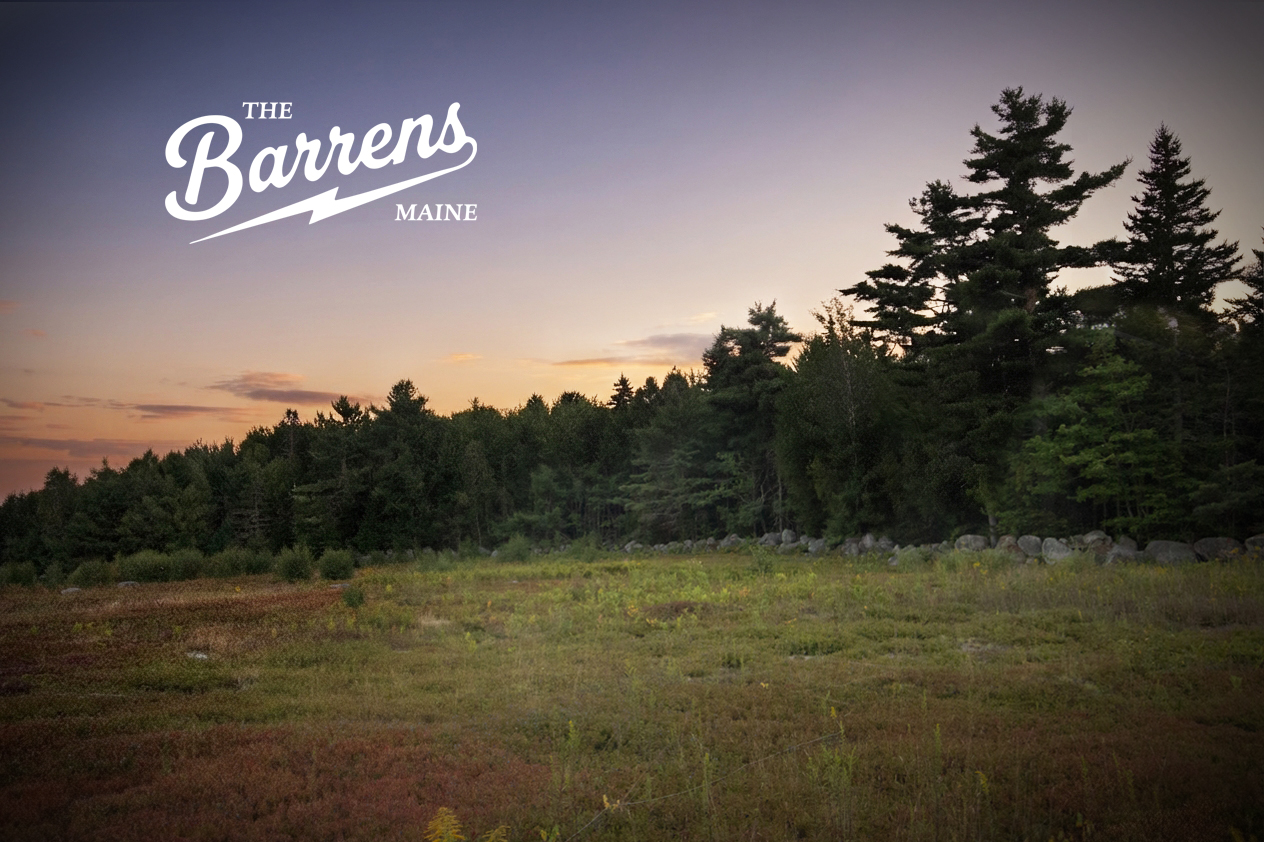 Existing blueberry barren landscape